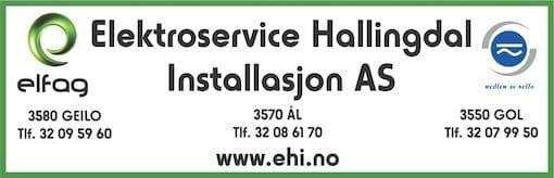 Sponsor logo #12